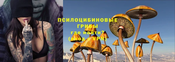 СК Кодинск