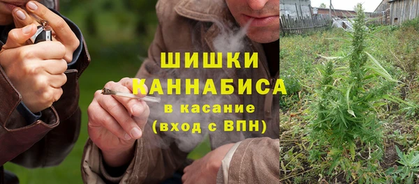 прущие грибы Козловка