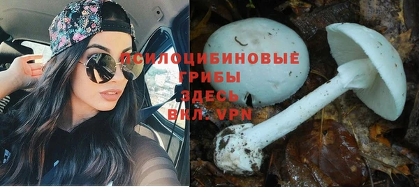 СК Кодинск