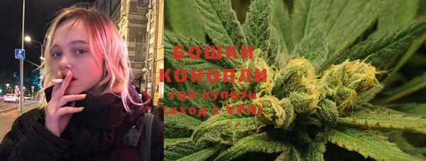 СК Кодинск