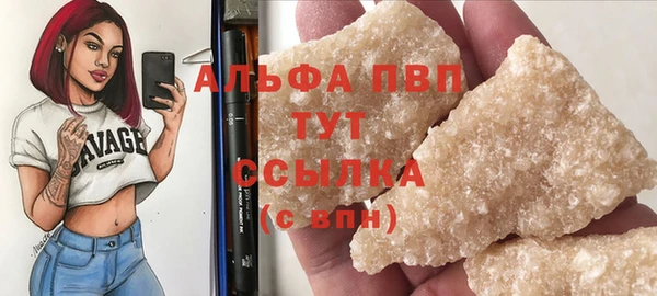 прущие грибы Козловка