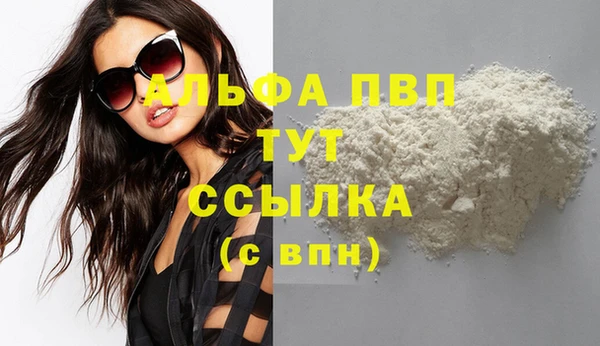 прущие грибы Козловка