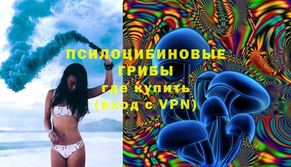 СК Кодинск