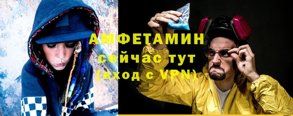 прущие грибы Козловка