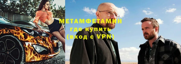 прущие грибы Козловка